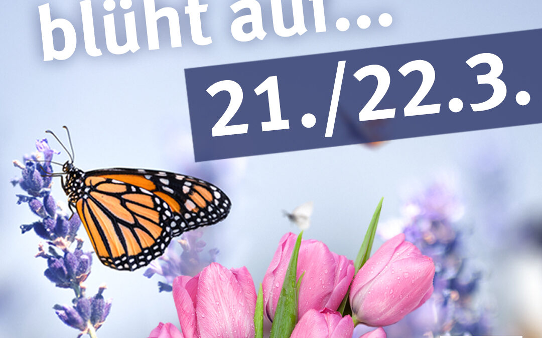 Frühlingsmarkt „Lautern blüht auf“