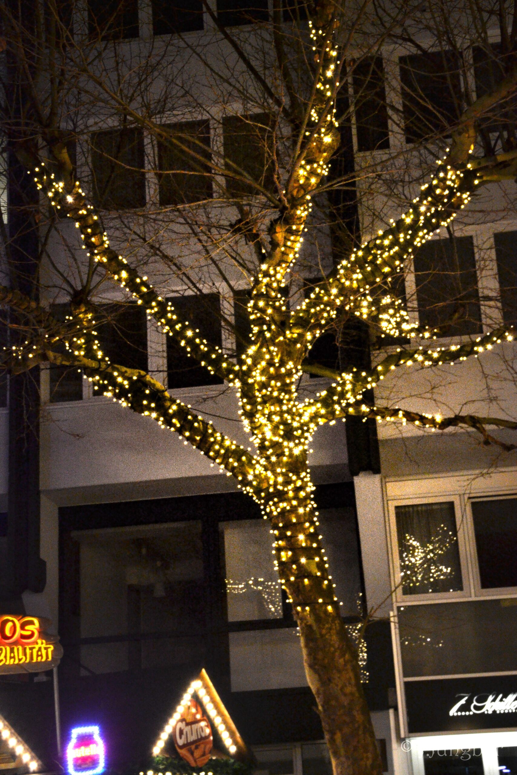 Baum